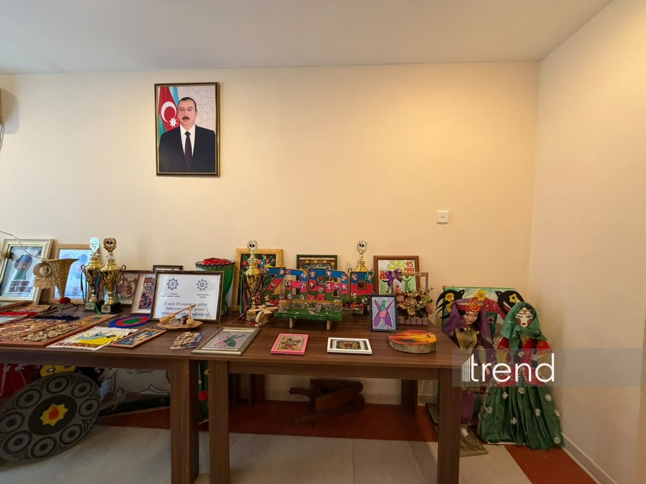 Əlilliyi olan uşaqlar üçün sosial xidmət müəssisəsinə mediatur təşkil olunub (FOTO)