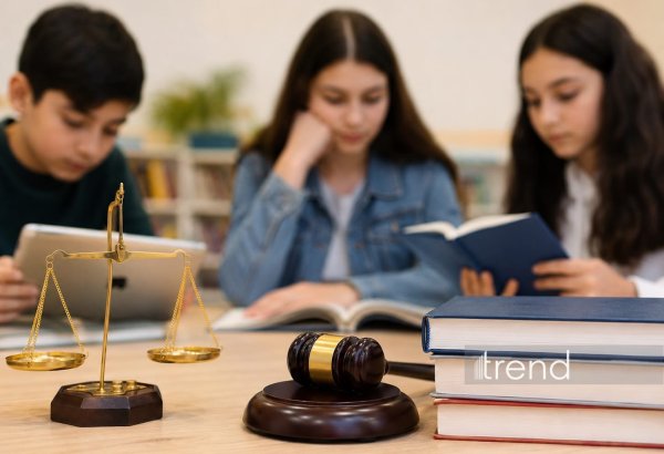 Kasıb ailələrin uşaqları hüquq biliklərini sosial mediadan əldə edir - Tədqiqat