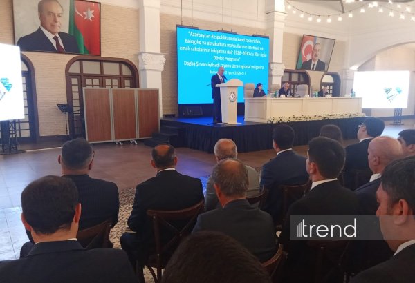 Şirvan suvarma kanalı aqrar sektora yeni imkanlar yaradacaq - İlham Bayramov