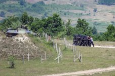 “Platinum Wolf - 2026” təlimində "Yüksək Səviyyəli Müşahidəçi Günü" keçirilib (FOTO)