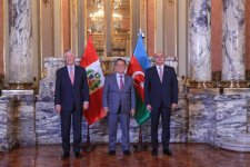 Azərbaycan səfiri etimadnaməsini Peru Prezidentinə təqdim edib (FOTO/VİDEO)