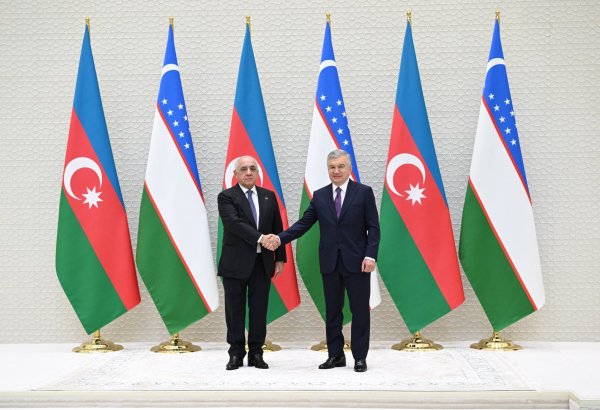 Əli Əsədov Özbəkistan Prezidenti ilə görüşüb (FOTO)
