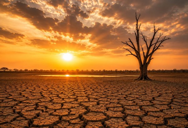 El Nino başlayıb - Yanğın və daşqın xəbərdarlığı verilib
