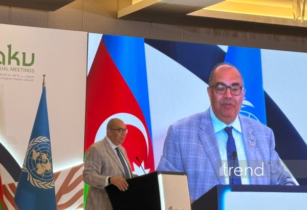 BMT Dayanıqlı İnkişaf Məqsədlərinin icrasının sürətləndirilməsinə çağırıb