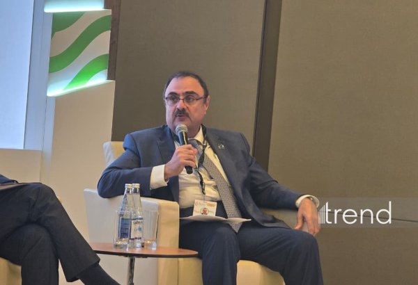 Azərbaycan “yaşıl enerji” investisiyaları üçün cəlbedicidir - "Masdar"