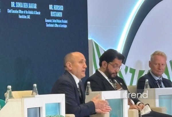 Mərkəzi Bank "yaşıl" maliyyə alətlərini genişləndirir