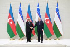 Əli Əsədov Özbəkistan Prezidenti ilə görüşüb (FOTO)