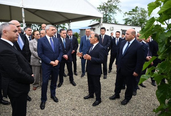 Xocalının Daşbulaq kəndində baramaçılığın inkişafı üçün yaradılmış infrastruktura baxış keçirilib (FOTO)