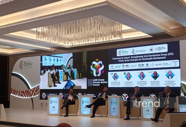 Ərəb Koordinasiya Qrupunun fəaliyyətinin genişləndirilməsinə çağırdı