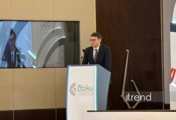 Azərbaycan geniş regionun enerji təhlükəsizliyində əsas rol oynayır - nazir müavini
