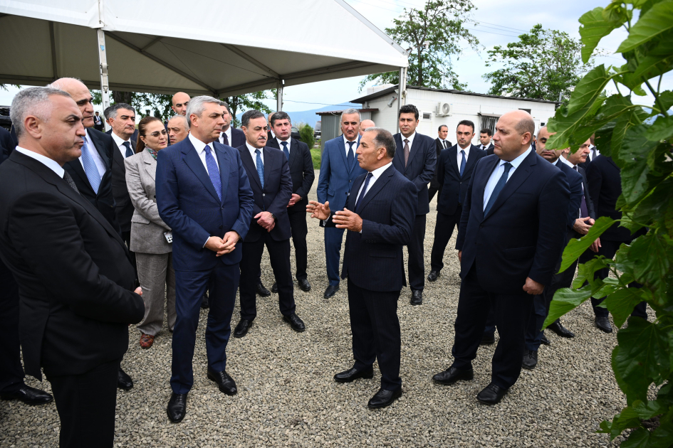 Xocalının Daşbulaq kəndində baramaçılığın inkişafı üçün yaradılmış infrastruktura baxış keçirilib (FOTO)