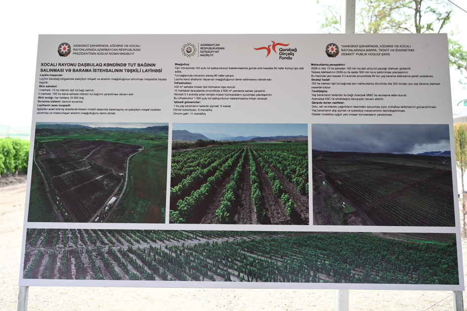 Xocalının Daşbulaq kəndində baramaçılığın inkişafı üçün yaradılmış infrastruktura baxış keçirilib (FOTO)