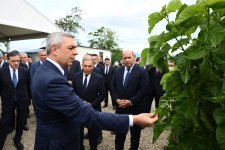 Xocalının Daşbulaq kəndində baramaçılığın inkişafı üçün yaradılmış infrastruktura baxış keçirilib (FOTO)