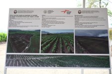Xocalının Daşbulaq kəndində baramaçılığın inkişafı üçün yaradılmış infrastruktura baxış keçirilib (FOTO)