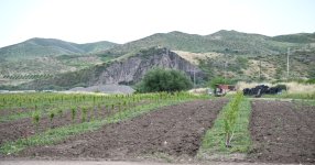 Xocalıda salınmış intensiv bağçılıq təsərrüfatları ilə tanışlıq (FOTO)