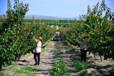Əlaqələndirmə Qərargahının üzvlərinin Ağdərə və Xocalı rayonlarına səfəri başlayıb (FOTO)