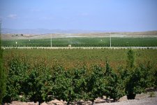 Əlaqələndirmə Qərargahının üzvlərinin Ağdərə və Xocalı rayonlarına səfəri başlayıb (FOTO)