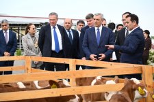 Xocalıda “Qoç Ət”in heyvandarlıq kompleksi ilə tanışlıq olub (FOTO)