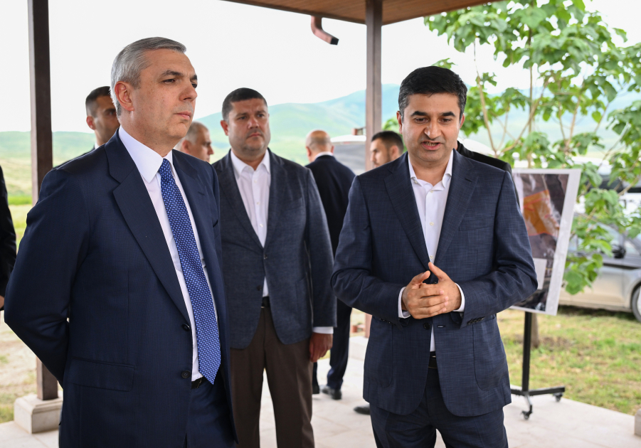 Xocalıda salınmış intensiv bağçılıq təsərrüfatları ilə tanışlıq (FOTO)
