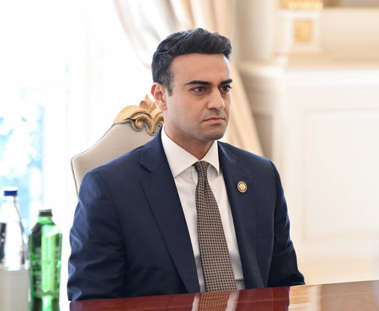 Prezident İlham Əliyev ABŞ Konqresinin Nümayəndələr Palatasının üzvünü qəbul edib (FOTO/VİDEO)