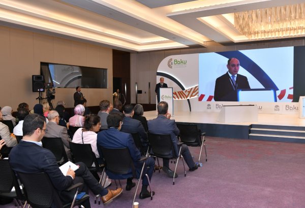 İİB Qrupunun 51-ci toplantısı çərçivəsində Azərbaycanın süni intellekt strategiyası barədə məlumat verilib (FOTO)