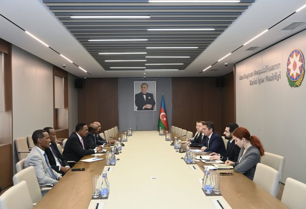 Yalçın Rəfiyev IGAD-ın icraçı direktoru ilə görüşüb (FOTO)