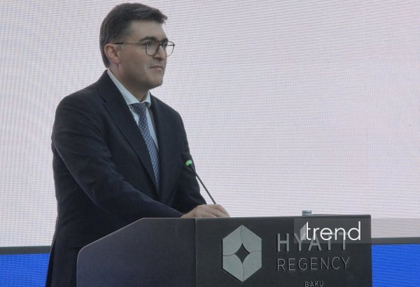 Böyük Britaniya Azərbaycanın ən böyük investoru olaraq qalır - Nazir müavini