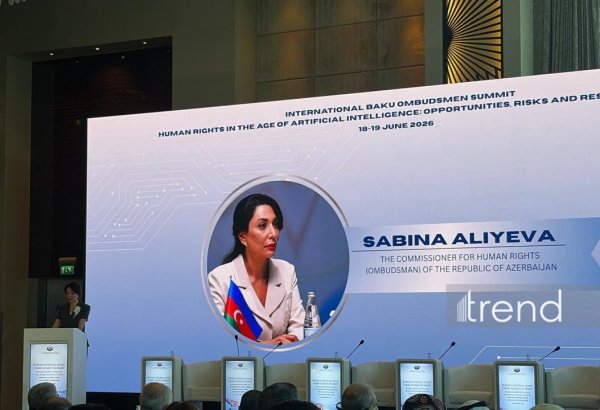 Süni intellekt insan hüquqları sahəsində yeni çağırışlar yaradır - Səbinə Əliyeva