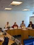 BNF-nin beynəlxalq seminarlarında Azərbaycanın nəqliyyat və aviasiya sahələrindəki təcrübəsindən danışılıb (FOTO)