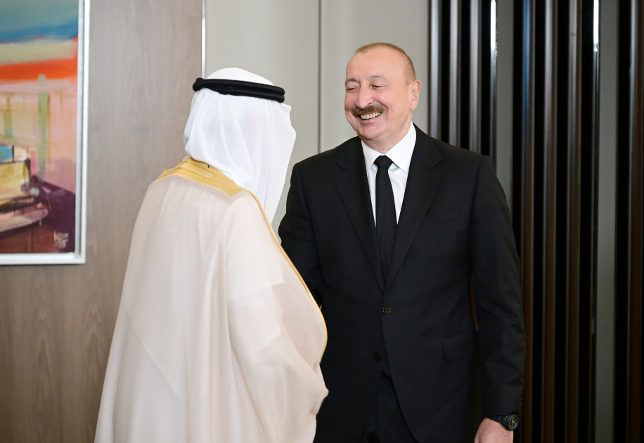 Prezident İlham Əliyev Ərəb Koordinasiya Qrupuna daxil olan üzv qurumların rəhbər şəxslərindən ibarət nümayəndə heyətini qəbul edib (FOTO)