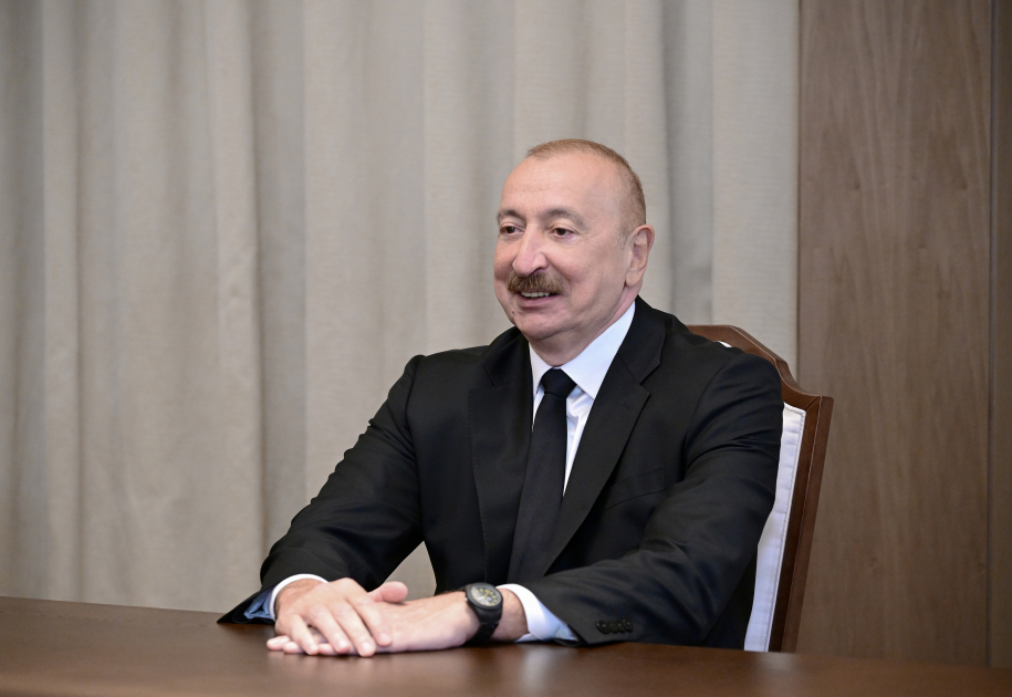 Prezident İlham Əliyev Ərəb Koordinasiya Qrupuna daxil olan üzv qurumların rəhbər şəxslərindən ibarət nümayəndə heyətini qəbul edib (FOTO)