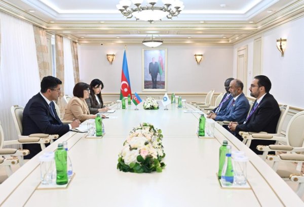 Sahibə Qafarova Qlobal Tolerantlıq və Sülh Şurasının sədri ilə görüşüb (FOTO)