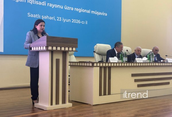 Subsidiyanın avans ödənişi mühüm dəstək olacaq - İlhamə Qədimova