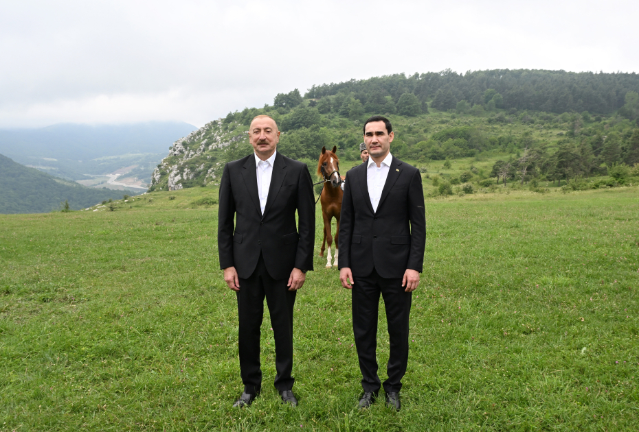 Azərbaycan Prezidenti İlham Əliyev Türkmənistan Prezidenti Sərdar Berdiməhəmmədova Qarabağ atı hədiyyə edib (FOTO)
