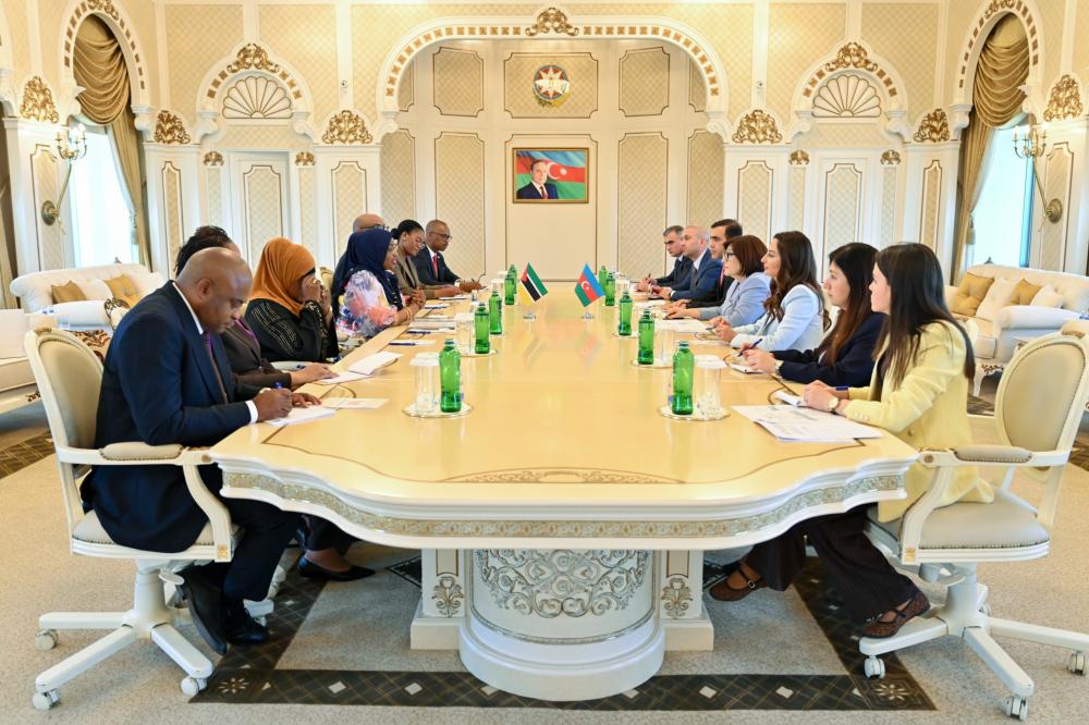 Sahibə Qafarova Mozambik Respublika Assambleyasının sədri ilə görüşüb (FOTO)