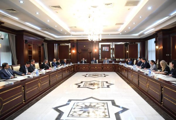 Milli Məclisin İnsan hüquqları komitəsinin növbəti iclası keçirilib (FOTO)