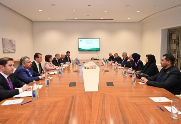 Sahibə Qafarova Məhəmməd Baqer Qalibaf ilə görüşüb (FOTO)