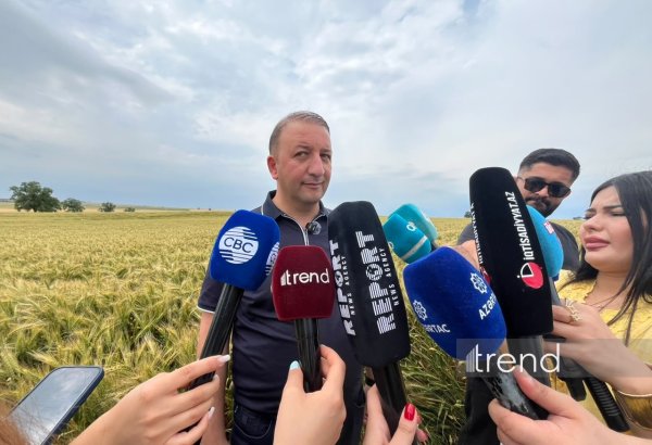 İvanovka Aqroparkında 100 min kubmetrlik su anbarı tikiləcək - Direktor