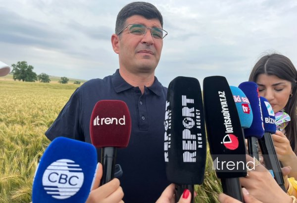 Azərbaycanda sertifikatlaşdırılmamış toxumların satışına icazə verilmir - Fikrət Feyziyev