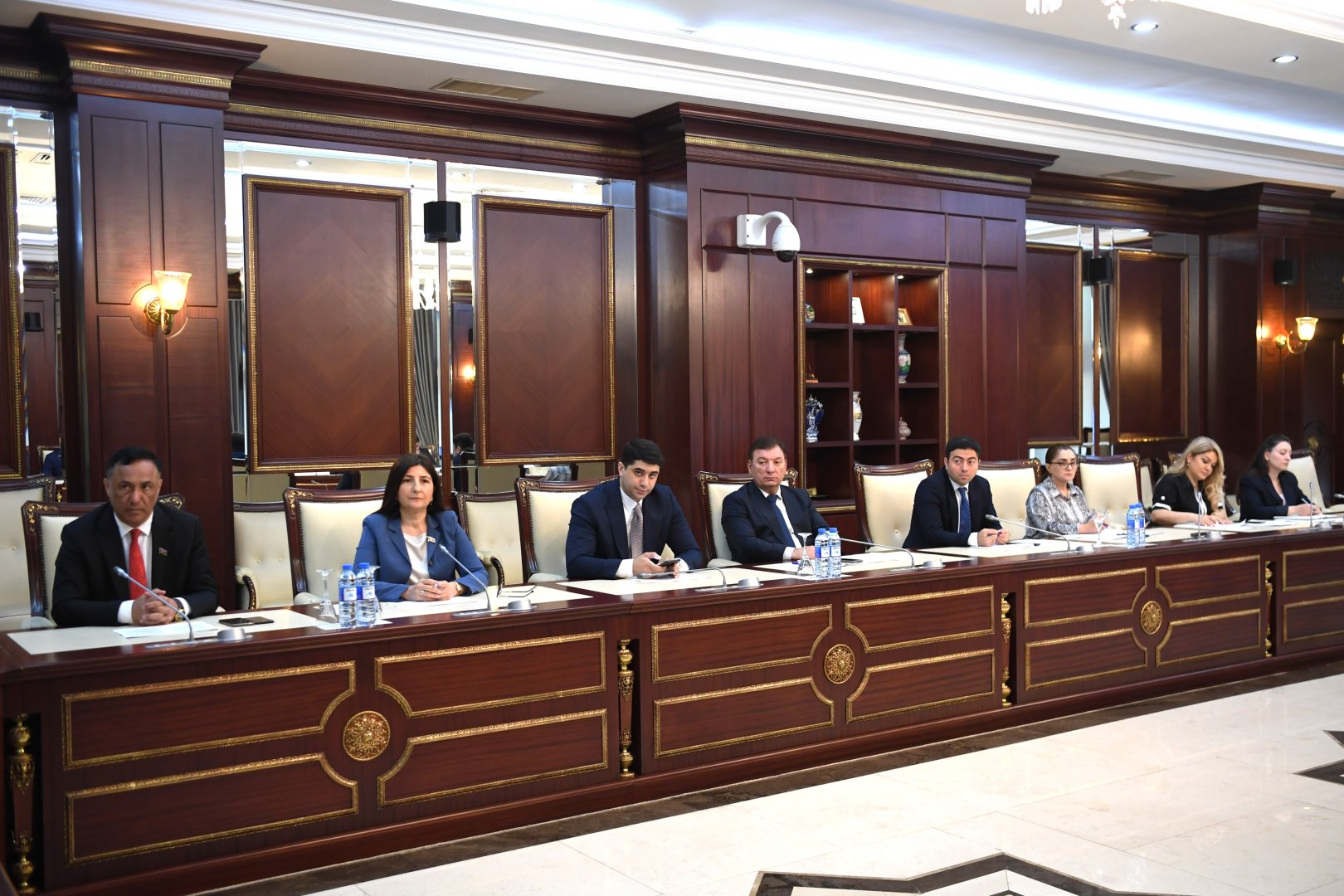 Milli Məclisin İnsan hüquqları komitəsinin növbəti iclası keçirilib (FOTO)
