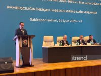 Pambıqçılıq ölkə iqtisadiyyatında mühüm rol oynayır - Məcnun Məmmədov