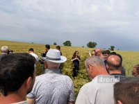 Toxumçuluğun inkişafında sertifikatlaşmanın əhəmiyyəti mövzusunda tədbir keçirilib (FOTO)