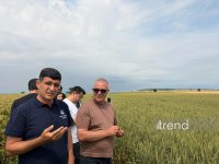 Toxumçuluğun inkişafında sertifikatlaşmanın əhəmiyyəti mövzusunda tədbir keçirilib (FOTO)
