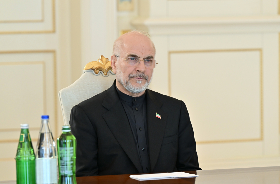 Prezident İlham Əliyev İran İslam Şurası Məclisinin sədrinin başçılıq etdiyi nümayəndə heyətini qəbul edib (FOTO)