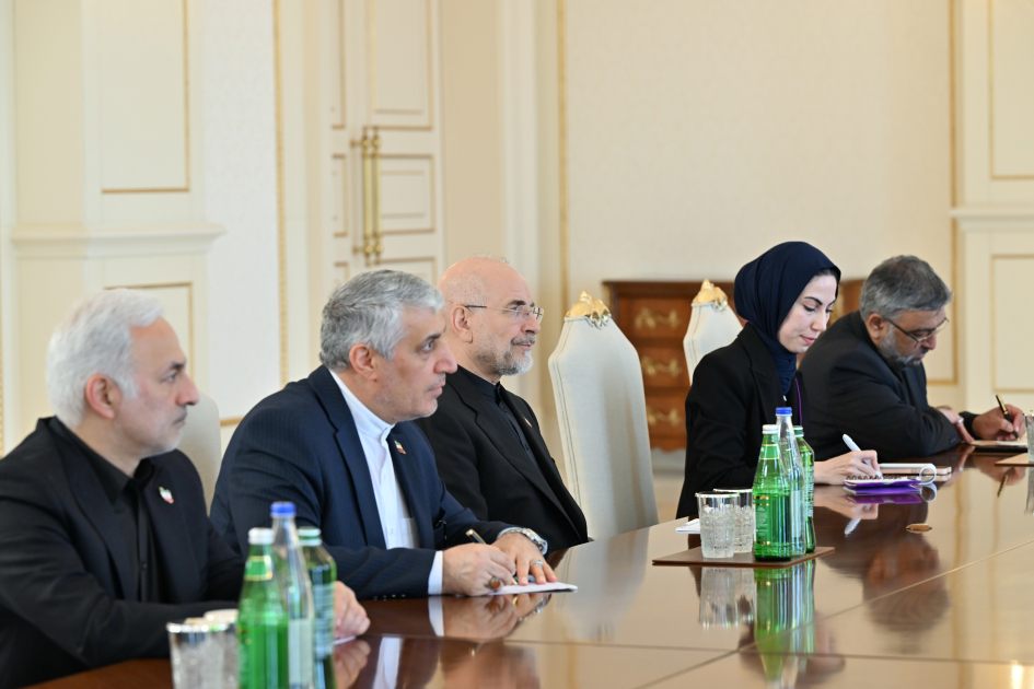 Prezident İlham Əliyev İran İslam Şurası Məclisinin sədrinin başçılıq etdiyi nümayəndə heyətini qəbul edib (FOTO)