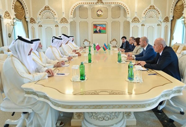 Sahibə Qafarova Qətər Dövləti Şura Məclisinin sədri ilə görüşüb (FOTO)