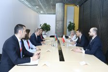 Azərbaycan-Polşa münasibətlərinin inkişaf perspektivləri müzakirə olunub (FOTO) (YENİLƏNİB)