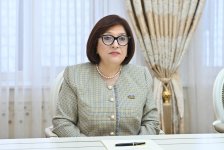 Sahibə Qafarova Ziya Öztürkler ilə görüşüb (FOTO)
