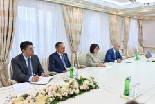 Sahibə Qafarova Ziya Öztürkler ilə görüşüb (FOTO)