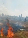 Füzulidə qəbiristanlıqda quru otlar yanıb, bəzi qəbir daşları zədələnib (FOTO)